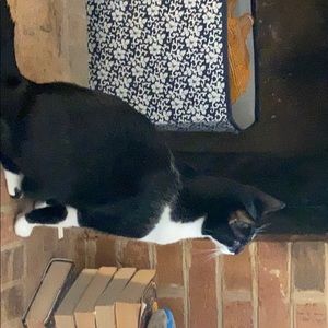 Meet your Posher, Renee